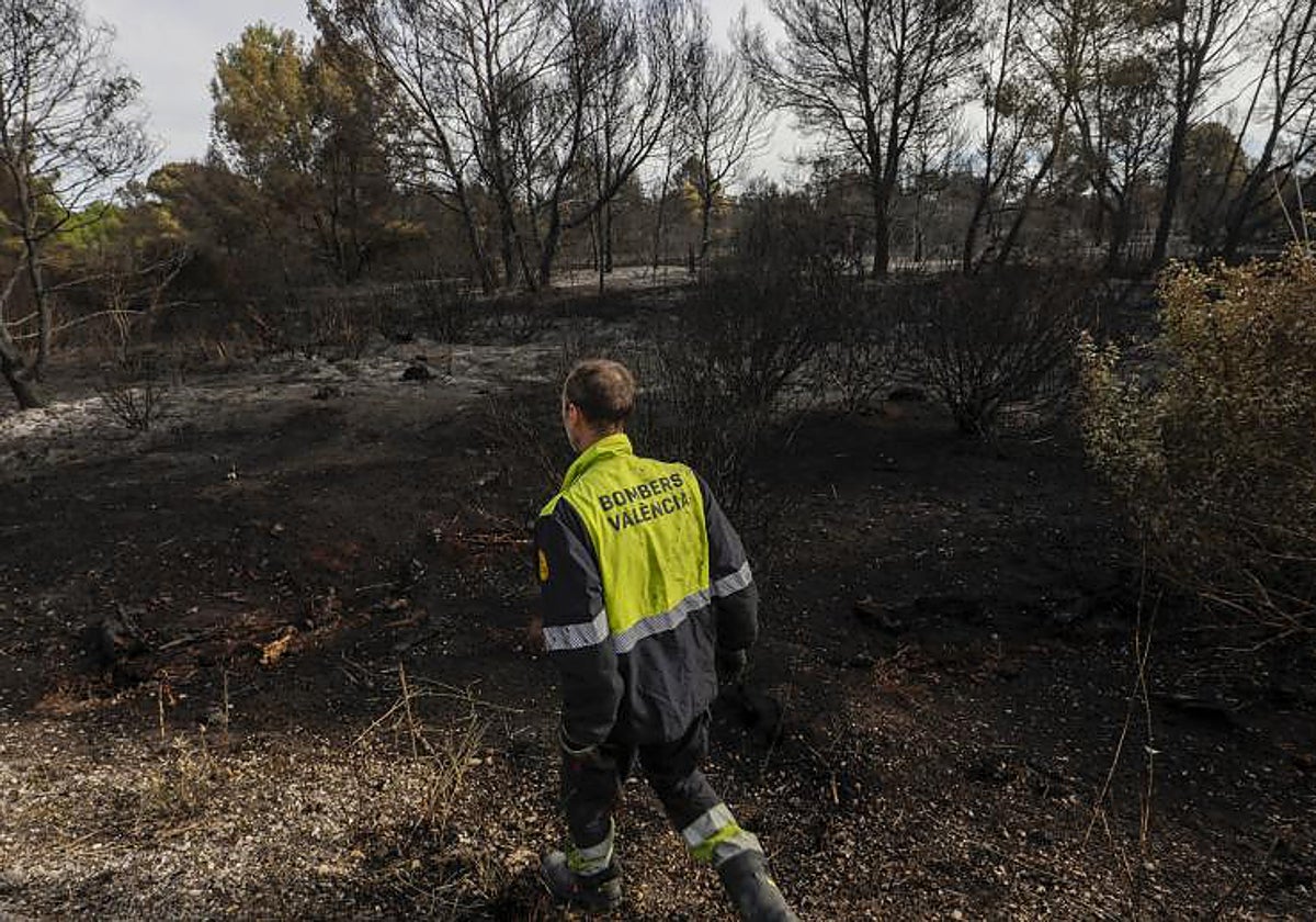 incendios-en-el-saler-as-es-el-pir-mano-de-el-saler-act-a-solo